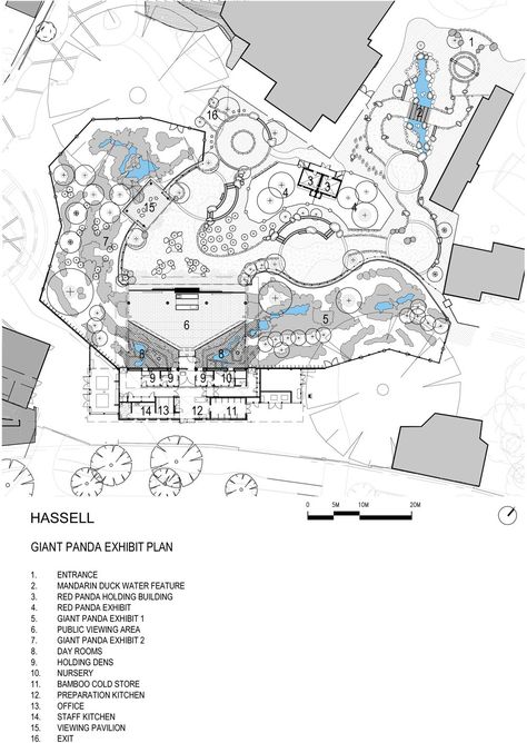 Gallery of Adelaide Zoo Giant Panda Forest / Hassell - 15 Zoo Floor Plan, Zoo Masterplan, Zoo Decor, Zoo Map, Zoo Design, Aquarium Architecture, Zoo Project, Zoo Architecture, Zoo Ideas