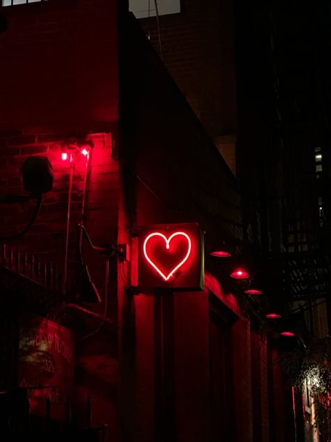 Fem Aesthetic, Red Mood, Red Aesthetics, Green Aesthetics, Neon Signs Quotes, Signs Quotes, Neon Aesthetic, Cozy Room Decor, Sleep Better