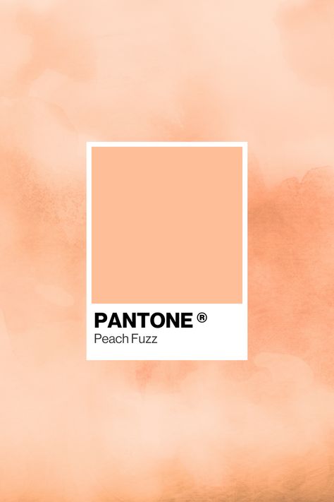 Feeling peachy keen about this years Colour Of The Year 🍑 Pantone describes PANTONE 13-1023 Peach Fuzz as a fresh approach to a new softness. Subtly sensual, PANTONE 13-1023 Peach Fuzz is a heartfelt peach hue bringing a feeling of tenderness and communicating a message of caring and sharing, community and collaboration. Soft Peach Color Palette, Pantone 13-1023 Peach Fuzz, Peach Fuzz Color Aesthetic, Peach Fuzz Pantone 2024, Peach Fuzz Aesthetic, Peach Fuzz Wedding, Peach Fuzz Color, Pantone Peach Fuzz, Peach Fuzz Color Palette