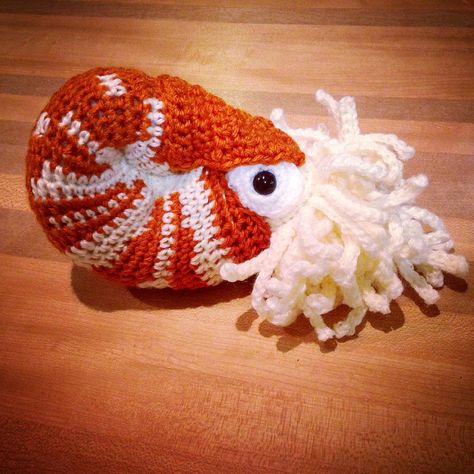 My finished crochet Nautilus. I bought the pattern here https://www.etsy.com/au/listing/127834954/chambered-nautilus-pdf-amigurumi-crochet? Crochet Nautilus, Nautilus Crochet, Klein Aquarium, Crochet Sea Animals, Fish Crochet, Crochet Coral, Crochet Sea Creatures, Chambered Nautilus, Coral Crochet