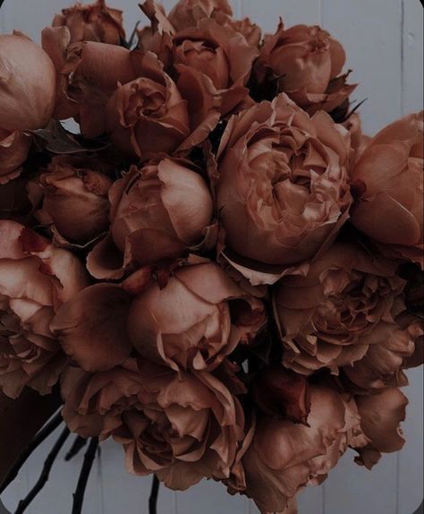 Brown Asthetics Wallpaper, Phone Asthetic, Brown Eyes Aesthetic, Couple Scrapbook, Flower Brown, Bmw Interior, Earthy Aesthetic, Aesthetic Brown, Color Vibe