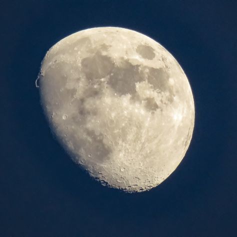 Third Quarter Moon by Sherri Rose Third Quarter Moon, Quarter Moon, Moon Images, Pixel Camera, Moon Photos, Email Marketing Newsletter, Social Media Advertising, Marketing Website, Print Advertising