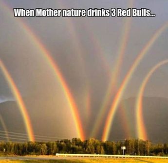 Funny Friday: When Mother Nature drinks 3 Red Bulls More Funny Friday, Quotes Nature, Friday Humor, 웃긴 사진, Crazy Funny Memes, Memes Humor, Nature Quotes, E Card, Grumpy Cat