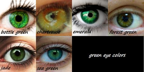 Reference charts for characters eye colors. Green Eye Color, Fantasy Eyes, A Writer's Life, And So It Begins, Green Eye, Writing Characters, Have Inspiration, Green Bottle, Creating Characters