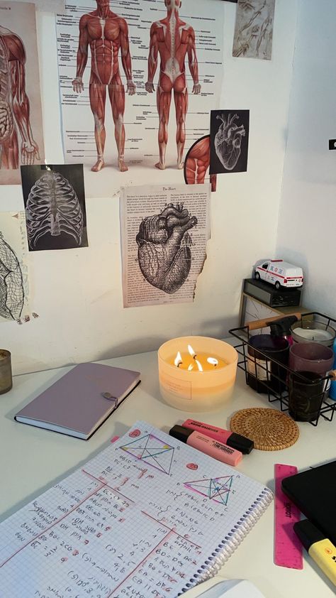 Study Anatomy Aesthetic, Anatomy Class Aesthetic, Studying Anatomy Aesthetic, Medicine Student Girl, Med Student Room, Dietetics Student, Liz Tomforde, Study Routine, Nursing School Motivation