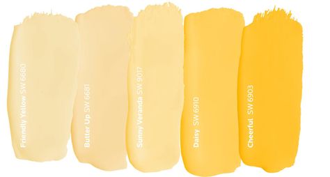 Your Go-To Color Theory Guide | Tinted by Sherwin-Williams Yellow Paint Colors Sherwin Williams, Popular Yellow Paint Colors, Sherwin Williams Yellow Paint Colors, Sherwin Williams Yellow, Light Yellow Paint Colors, Babouche Farrow And Ball, Yellow Painted Rooms, Benjamin Moore Yellow, Light Yellow Paint