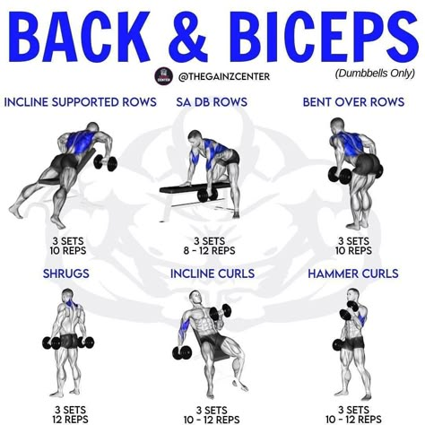 ⏰ Gym Tips Posted Every Day!⏰ on Instagram: “💙 Back & Biceps (Dumbbells Only) Tag a friend that needs to try this! -  Follow @TheTrainingManual for daily fitness/nutrition tips &…” Back Workout Gym Dumbbells, Dumbbell Only Pull Day, Lat Pull Down Dumbbell, Back And Bicep Workout With Dumbbells, Back And Bicep Superset Workout, Back Day With Dumbbells, Back Bicep Dumbbell Workout, Dumbbell And Bench Workout, Back And Bicep Workout Gym Machines