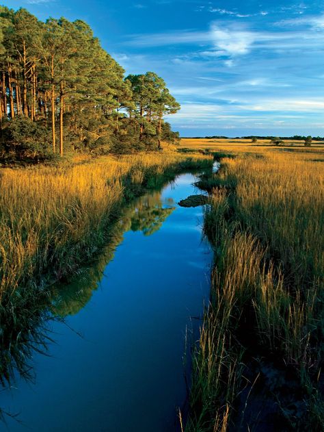 Escape to The Sanctuary: Kiawah Island, SC Beach Bucket List, Kiawah Island South Carolina, Seabrook Island, Best Girlfriend, Southern Travel, Girlfriends Getaway, Beach Bucket, Kiawah Island, Folly Beach