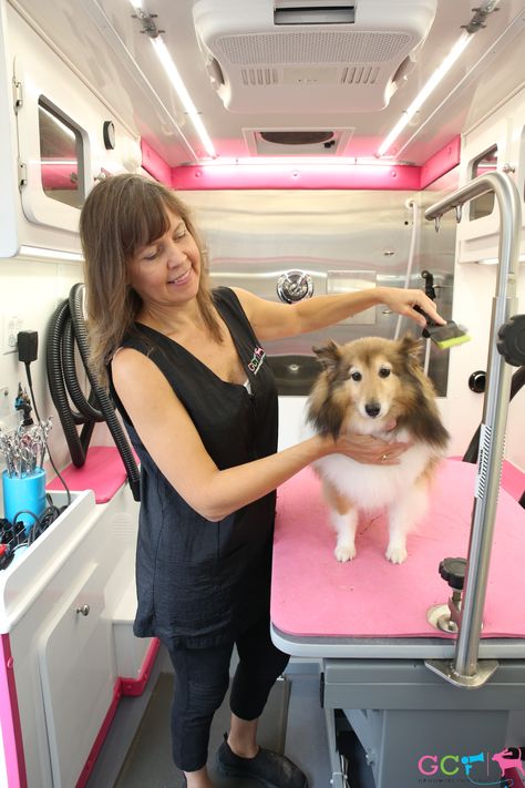 Pet Grooming Shop, Pet Store Design, Pet Grooming Business, Mobile Pet Grooming, Take A Leap Of Faith, Dog Grooming Clippers, Dog Trailer, Grooming Business, Dog Grooming Shop