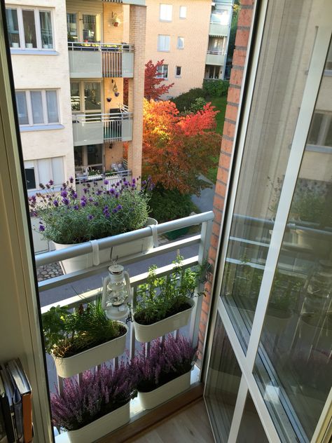 Plants Apartment Balcony, Small Balcony Flower Ideas, Plant Balcony Apartment, French Balcony Decor, Narrow Balcony Garden, Plants On Balcony Apartments, Balcony Ideas Flowers, Small Balcony Flowers, Balcon Flowers Ideas