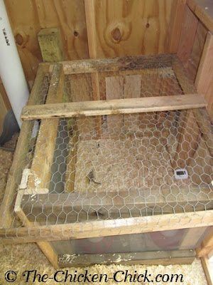 Broody Hen, Chicken Coop Kit, Portable Chicken Coop, Best Chicken Coop, Chicken Chick, Backyard Flocks, Coop Plans, Keeping Chickens, Building A Chicken Coop