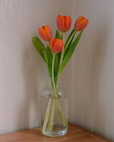 Flower Still Life Photography Simple, Flower In Vase Reference, Cute Still Life, Pretty Still Life, Reference Images For Artists, Simple Oil Painting, Orange Tulips, Still Life Flowers, Still Life Oil Painting