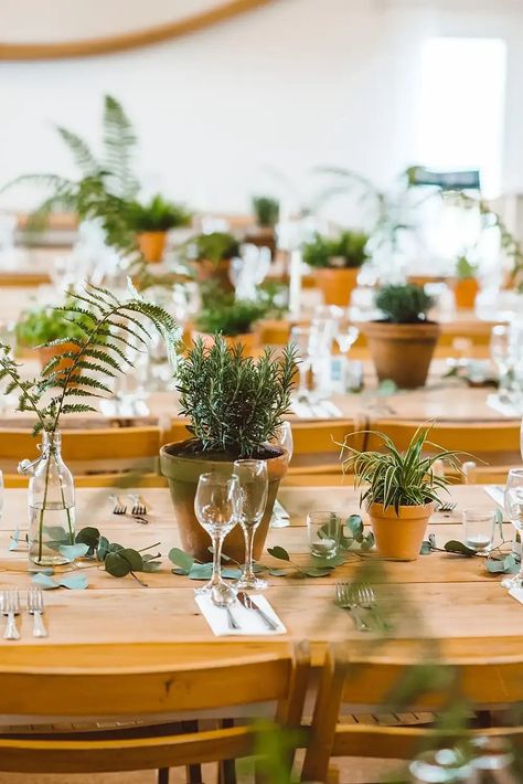 The theme combines sustainable materials to inspire couples with eco-friendly wedding ideas that don’t compromising on style. Image by DHW Photography. #tablescapestyling #greenweddings #botanticalwedding #ecofriendlyweddingideas #sustainableweddingdecor Potted Herb Wedding Centerpiece, Plant Wedding Table Decor, Tent Decor Wedding Reception, Wedding Table Plants, House Plant Centerpieces, Potted Plant Wedding Centerpieces, Potted Flowers For Wedding, Potted Plant Centerpieces Wedding, Potted Plants Wedding Decor