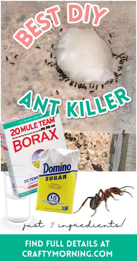 How To Get Rid Of Ants Naturally, How To Get Rid Of Ants In The House Diy, Ant Repellant, Best Way To Get Rid Of Ants, How To Kill Ants In The House, Rid Of Ants In House, Killing Ants In The House, How To Keep Ants Out Of House, How To Get Rid Of Black Ants In House