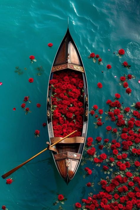 Psychology Room, معرض فني, Cherry Blooms, Nature Iphone Wallpaper, Photography Shoot, Pregnancy Photography, Boat Art, Love Boat, Amazing Nature Photos