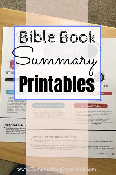 Bible Books Summary, Bible Book Overview, Bible Book Outlines Free, Summary Of Each Book Of The Bible, Bible Book Summary, Bible Summary Sheets Free, Bible Chapter Summary, Free Bible Cliff Notes, Book By Book Bible Breakdowns Free