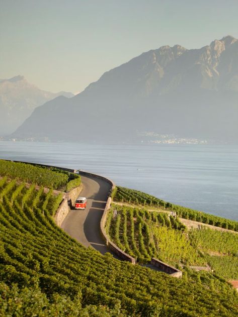 A stone’s throw from Lausanne (only five minutes by train to Lutry), the atmosphere is completely different. Goodbye city, hello vineyards. With Lake Geneva as the constant backdrop, Lavaux is a must-see for all visitors to the area, as well as for locals. ©LT/Christophe Voisin Switzerland Trip, Europe 2024, Lausanne Switzerland, 2024 Goals, Long Way Home, Painting Inspo, Switzerland Travel, Lake Geneva, Gap Year