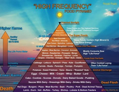 Helichrysum Essential Oil, Vibrational Frequency, Food Pyramid, Superfood Powder, Energy Foods, Life Force Energy, Raw Chocolate, Raw Cacao, Rose Essential Oil