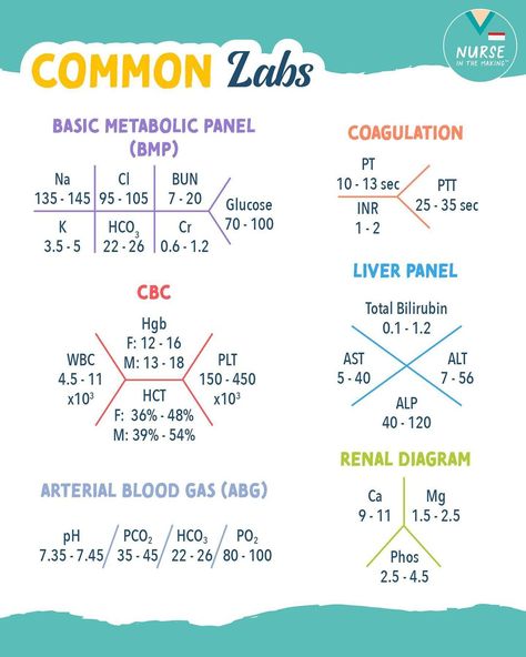 NurseInTheMaking on Instagram: “Common labs (fishbone diagram) You will commonly see lab values in this format of a “Fishbone diagram”. It’s a way to easily see the lab…” Cbc With Differential Lab Values, Bun Creatinine Lab Values, Cbc Lab Values, Lab Values Nursing, Flight Nursing, Nicu Nurse Education, Charting For Nurses, Fishbone Diagram, Nursing Labs