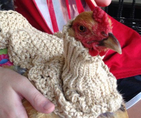 Chicken Necessities, Chicken Outfits, City Chickens, Chicken Neck, Crochet Turtleneck, Full Chicken, Chicken Clothes, Sweaters Crochet, Funny Chickens