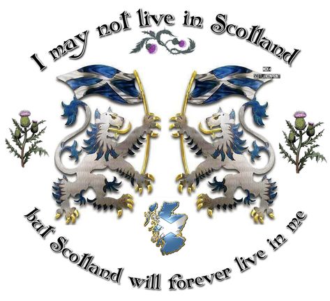 Scottish Proverbs, Celtic Blessings, Clan Macdougall, Scottish Sayings, Scottish Quotes, Scottish Pride, Scotland Vacation, Scotland History, Scottish Ancestry