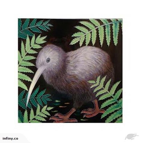 Ceramic Wall Art Kiwi in among ferns at night 15x15 cm | Trade Me Kiwi Bird Painting, Kiwi Bird Art, Clay Vases, Kiwi Bird, Nz Art, Ceramic Wall Art, Clay Vase, Bird Painting, Bird Gifts