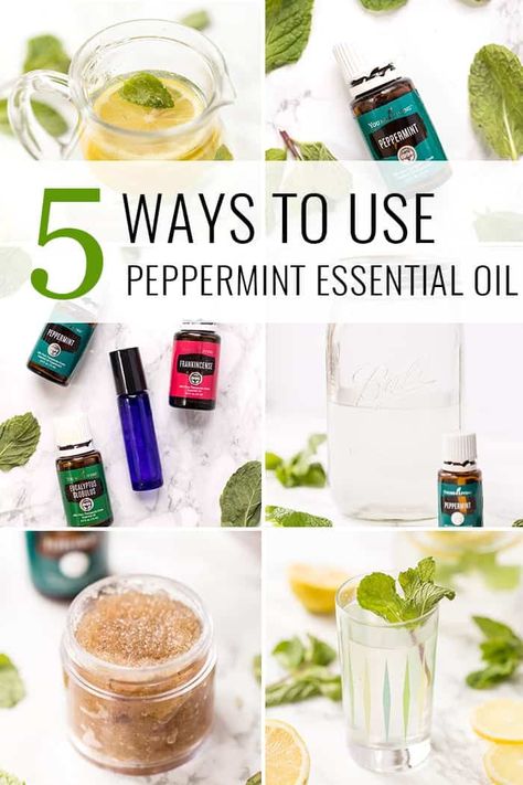 Pepermint Oil, Peppermint Water, Peppermint Oil Uses, Gas Relief, Simply Quinoa, Yl Essential Oils, Essential Oils For Skin, Sugar Scrubs, Diy Beauty Recipes