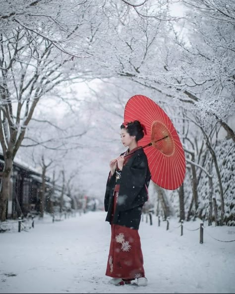 Geisha Umbrella, Geisha Photo, Kimono Winter, The Kimono Gallery, Kimono Gallery, Winter Kimono, Fine Art Portrait Photography, White Kimono, Kimono Design