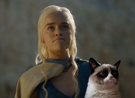 "You ARE the Mother!" The Mother of Dragons May Also be the Mother of a Particular Catlebrity Friday Cat, The Mother Of Dragons, Peter Dinklage, Game Of Thrones Funny, Angry Cat, Think Geek, Kitty Games, Mother Of Dragons, House Of Dragons