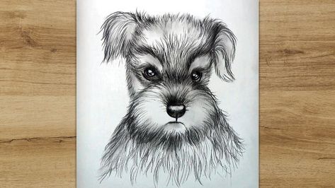 Today I want to show you how to draw a schnauzer dog step by step for beginners. #Schnauzer_Dog #Dog_Drawing #Schnauzer_Dog_Sketch Schnauzer Drawing, Head Drawing, Dog Steps, Schnauzer Dog, Schnauzer Dogs, Dog Drawing, Drawing Tutorial, I Tried, To Draw