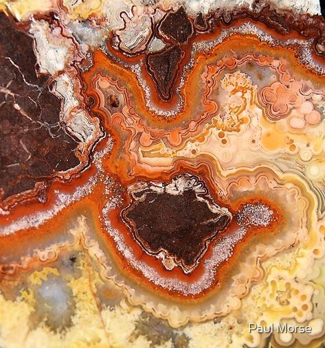 Yeah, well, sometimes the rock slab has more in it than the mind bargained for. This photo is of a Crazy Lace Agate slab and it seems some type of bizarre clown has ben hiding inside :-) . Crazy Lace Agate, Lace Agate, The Mind, The Rock, Agate, Lace