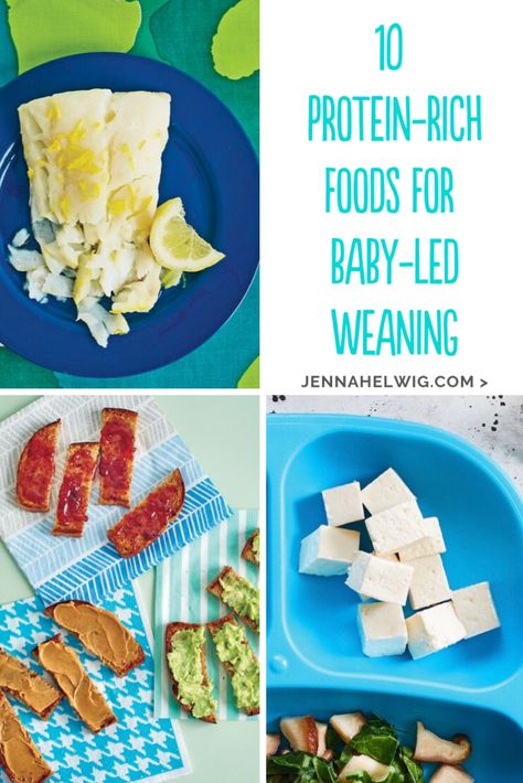 Get easy ideas for protein-rich finger foods for baby-led weaning. #firstfoods #fingerfoods #blwideas #babyledweaning Blw Protein Ideas, Baby Protein Ideas, Baby Led Weaning Protein, Protein For Baby, Baby Leading Weaning Recipes, Protein For Babies, Blw Meal, Meat For Babies, Blw Ideas