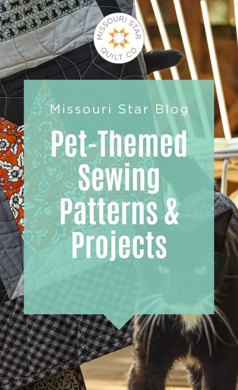 Save these Easy DIY Pet-Themed Sewing Patterns & Projects. In quilting, as in life, there’s no companion more faithful than a pet. Our four-legged friends stand watch as we stitch, offering support - and plenty of snuggles - without a word of judgment. Space Quilt, Cat Quilt Patterns, Dog Sewing Patterns, National Pet Day, Missouri Star Quilt Company, George Eliot, Dog Quilts, Machine Quilting Designs, Loving Heart