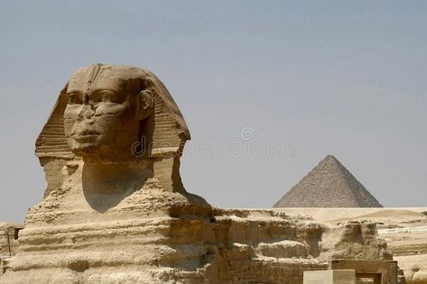 Sphynx Egypt, Ancient Africa, Egypt Cairo, Background Simple, Egyptian Tattoo, Drawing Stuff, Cairo Egypt, Sphynx, Stock Photography Free