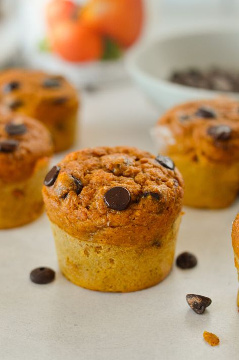 Pumpkin Protein Muffins Gf Pumpkin Muffins, Yogurt Caesar Dressing, Protein List, Morning Snacks, Pumpkin Protein Muffins, Oat Cups, Pumpkin Protein Pancakes, Breakfast Alternatives, Baking Healthy