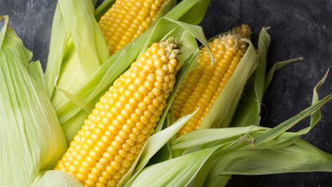 Corn on the cob has more calories and carbs than other vegetables, but it's still packed with lots of nutrition. When To Harvest Corn, Freezer Vegetables, Corn Broth, Corn Boil, Zucchini Baking, Pickled Corn, Freezing Corn, Fresh Corn On The Cob, Tomato Pasta Salad