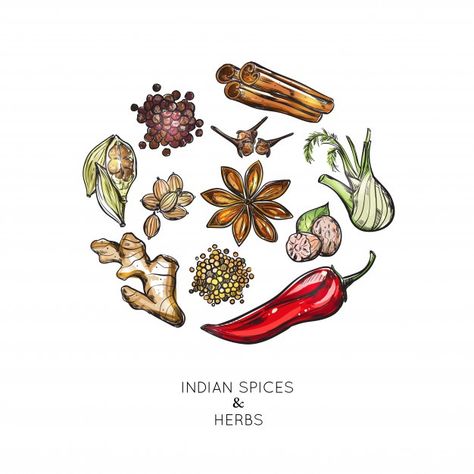 Indian spices herbs composition | Free Vector #Freepik #freevector #food #leaf #green #nature Spices Illustration, Indian Herbs, Indian Drinks, Saffron Flower, Logo Hipster, Recipe Book Templates, Food Sketch, Leaves Illustration, Girly Wall Art