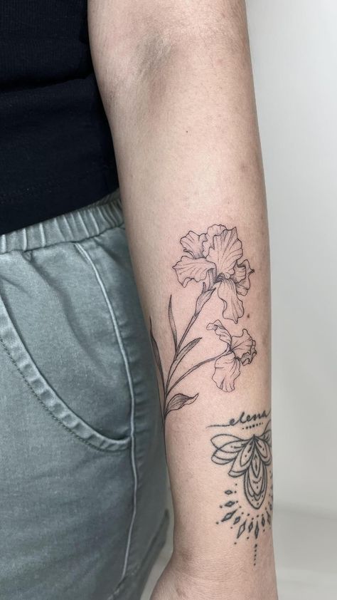 Vein Tattoos Arm, Iris Tattoo Sleeve, Iris Tattoo Arm, Iris Wrap Around Tattoo, Iris Rib Tattoo, Iris Forearm Tattoo, Iris Tattoo Forearm, Poppy And Iris Tattoo, Iris Flower Fine Line Tattoo