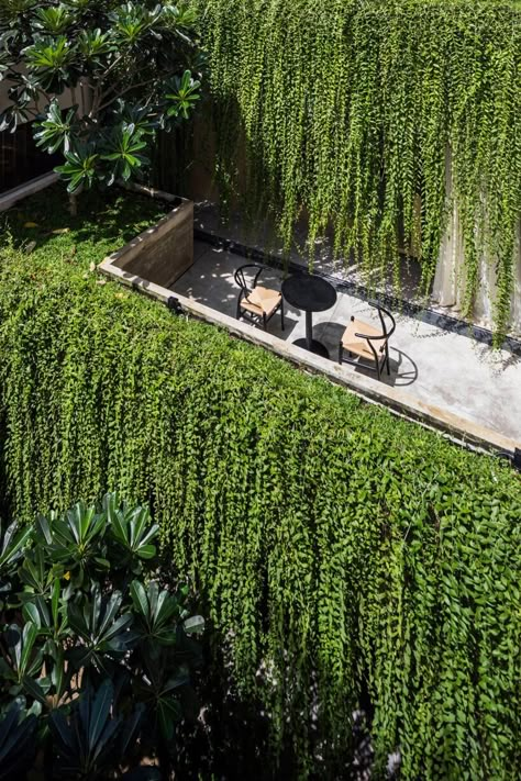 open courtyards with lush greenery complete MIA design studio's concrete house in vietnam Green Facade, Big Garden, Concrete House, Green Architecture, Green Walls, Rooftop Garden, Design Studios, Hanging Garden, Roof Garden