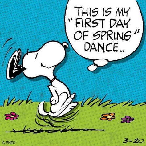 Snoopy- This is my "First day of spring "dance… 1st Day Of Spring, Snoopy Dance, Spring Dance, Hello March, Spring Quotes, Peanuts Cartoon, Cartoon Strip, Spring Pictures, Snoopy Quotes