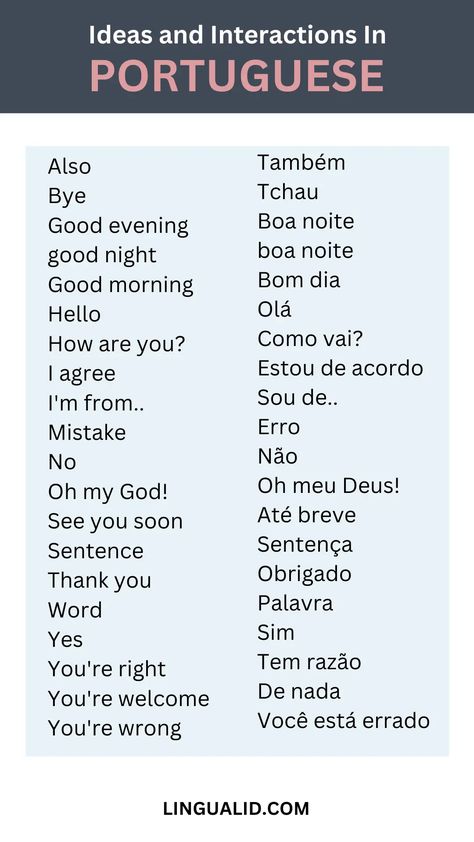 Top 200 Common Nouns in Brazilian Portuguese - Lingualid English To Portuguese, Common Portuguese Phrases, Portuguese Notes Aesthetic, Learning Portuguese Portugal, Portuguese Language Learning Brazil, Brazil Portuguese Language, Portuguese For Beginners, European Portuguese Language Learning, Learn Portuguese Portugal