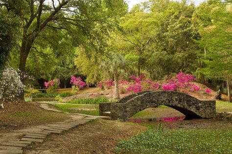 Add these essential Cajun Country must-dos to your itinerary and experience some of the best that south Louisiana has to offer. Avery Island, Swamp Tours, Jungle Gardens, Beautiful Park, Exotic Plants, Rare Plants, Garden Bridge, Ecuador, Cool Places To Visit