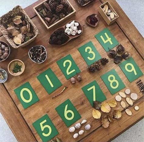 Eyfs Maths, Early Years Maths, Numeracy Activities, Curiosity Approach, Reggio Inspired Classrooms, Eyfs Classroom, Reggio Classroom, Loose Parts Play, Literacy And Numeracy