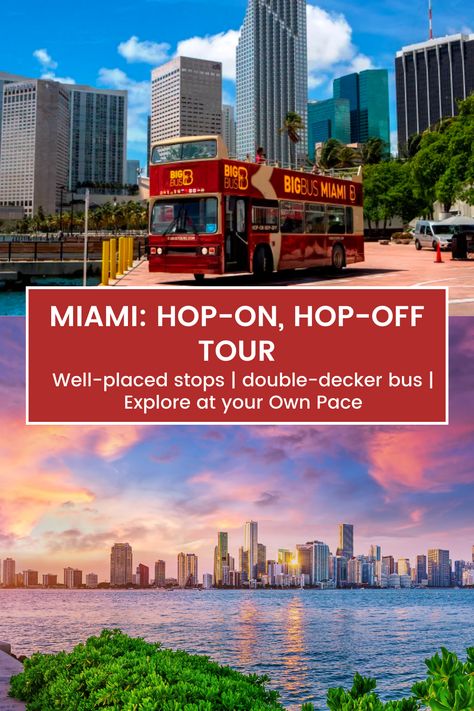 Feel the heat during your next Florida trip with a hop-on hop-off Miami tour. When you pick the tickets, you call the shots! Hop off and see the attractions that interest you. Then, hop back on and skip the ones that don’t. Your Miami sightseeing is made easy with Miami hop-on hop-off bus tour. #MiamiAesthetics #MiamiSigtseeing Miami Sightseeing, Sightseeing Bus, Bus Tour, Tour Bus, Florida Trip, Florida Travel, Open Top, Miami Beach, The Heat