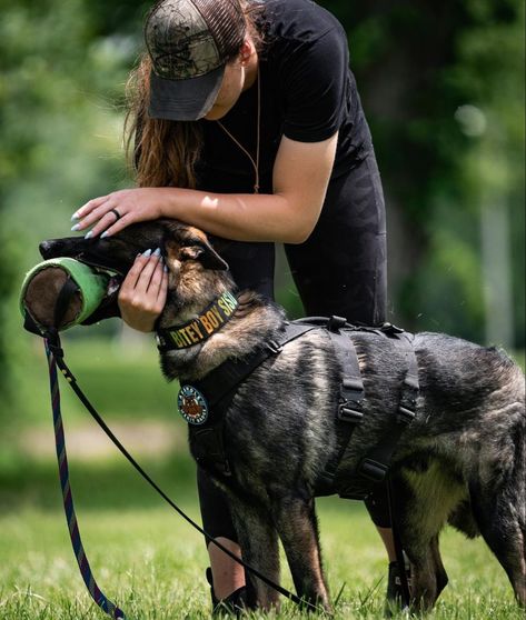 Working German Shepherd, Fit Dogs, Dog Trainer Aesthetic, Dog Training Aesthetic, Therapy Dog Training, German Sheperd Dogs, Service Dog Training, Malinois Dog, Dog Biting