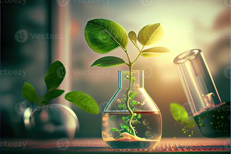 Generative AI illustration of Science and biotechnology concept. Growing of plant in laboratory Biotechnology Aesthetic, Plant Laboratory, Herbalism Aesthetic, Plant Chemistry, Plant Biotechnology, Holistic Herbs, Plant Physiology, File Decoration, Science Room