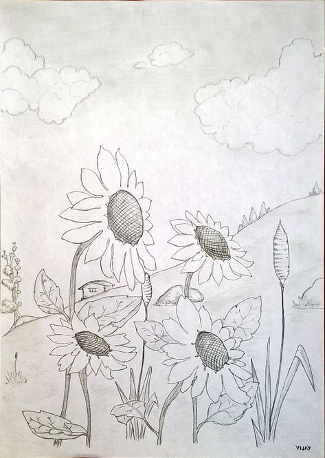 Drawing of a Sunflower group with a vast sky and slopy mountain background. Sunflowers are shining, smiling and nodding heads while wind is blowing gently. - VIJAY Field Of Sunflowers Drawing, Drawing Of A Sunflower, Sunflower Sketches, Sunflower Drawing, Mountain Background, Garden Drawing, Sunflower Garden, Sunflower Fields, Pictures To Draw