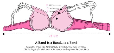 Measure Bra Size, Bra Size Calculator, Gray Sports Bra, Bra Size Charts, Bra Cup, Pink Sports, Victoria Secret Sport, Perfect Pink, Pink Sports Bra