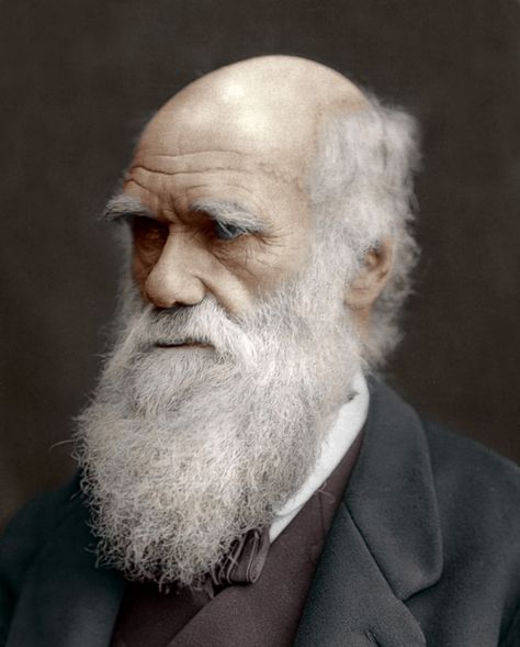 A look at some interesting facts that usually aren't found in textbooks about the man behind the Theory of Evolution and Natural Selection. History Of Psychology, Hms Beagle, Origin Of Species, Epic Beard, Theory Of Evolution, Natural Selection, 인물 드로잉, Charles Darwin, Beard Styles