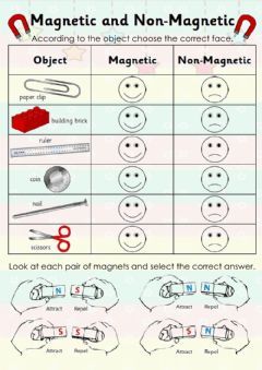 Magnets Language: English Grade/level: first grade School subject: Science Main content: Magnetism Other contents: Materials Worksheet, Diana Sanchez, Magnets Science, Earth's Magnetic Field, Online Activities, Magnetism, School Subjects, Grade School, Online Workouts